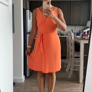 NWT Ann Taylor apricot dress - Petite 4